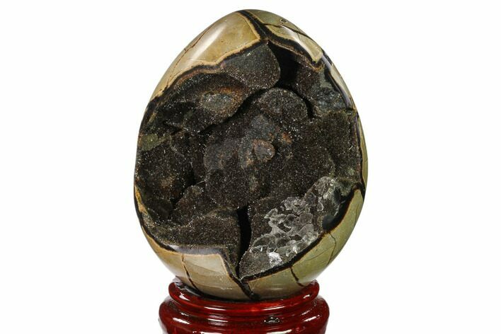 Septarian Dragon Egg Geode - Black Crystals #137904